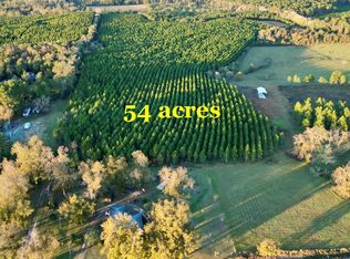 Bill Yance Rd, Columbia, AL 36319