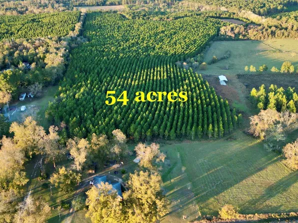 Bill Yance Rd, Columbia, AL 36319
