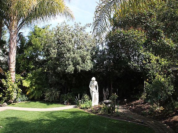 Back Garden