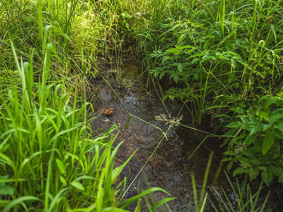 22nd image of 10289 Russwood Rd