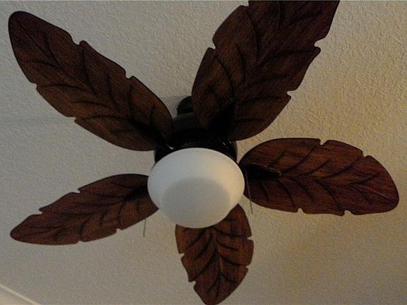 5th image of 3730 Cadbury Cir APT 107