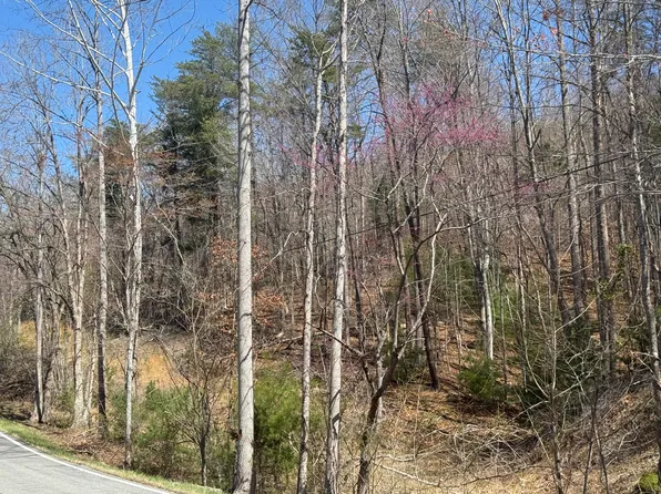 0 Narrow Passage Rd, Eagle Rock, VA 24085