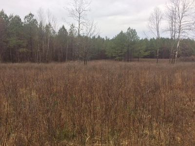 Rowsey School Rd, Bethel Springs, TN, 38315