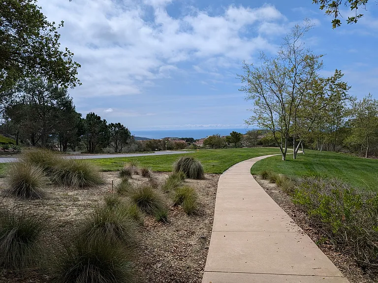 Coastal Oak — Photo 18