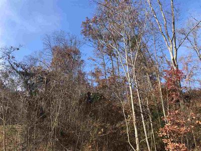 212 Austin Dr, Rogersville, TN, 37857