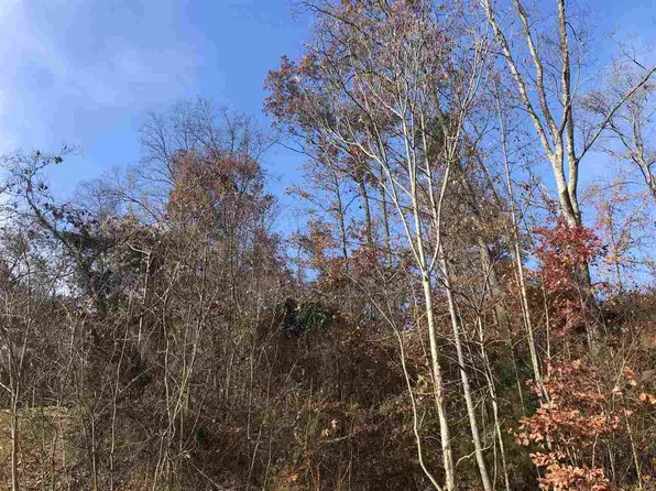 212 Austin Dr, Rogersville, TN 37857