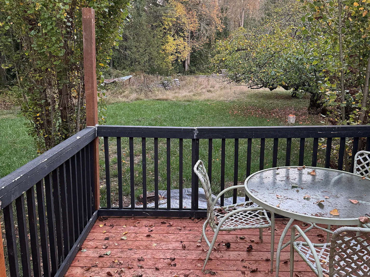 2 bed, 1000 sqft, $2,000 — Photo 2
