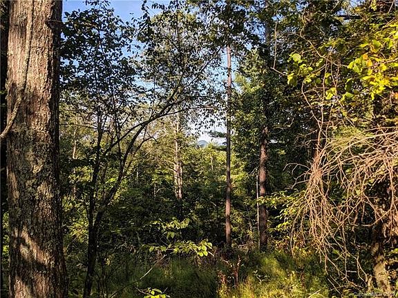 4th image of 2176 Bear Creek Rd
