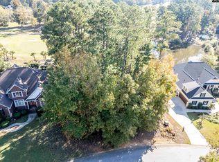 108 Oak Trace Ct, Chapin, SC 29036