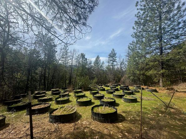 122 Acres Off Usfs Rd #46N76, Happy Camp, CA 96039