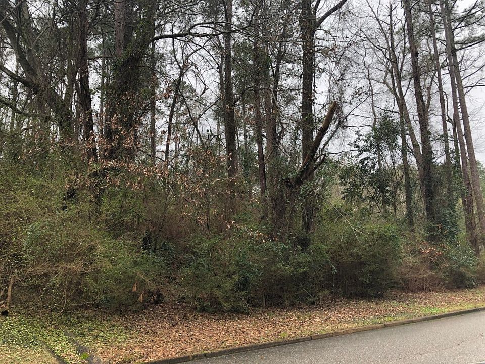 2nd image of 3009 Paddlecreek Ln