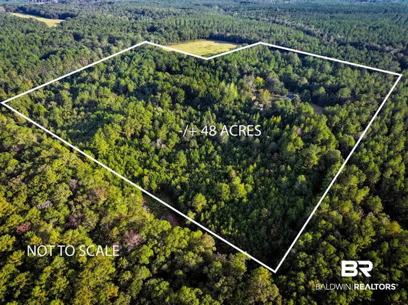 3346 Hoomesville Rd, Brewton, AL 36426