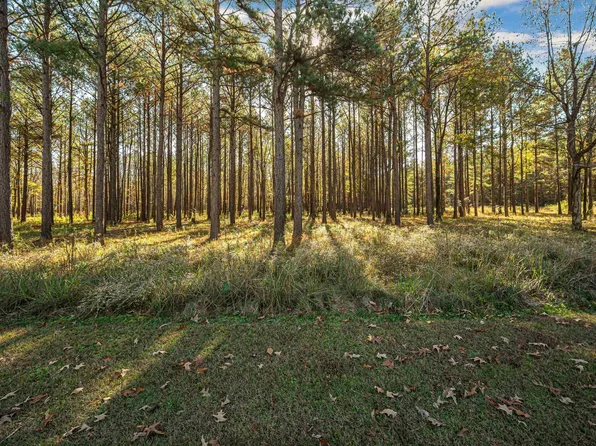 152 Cypress Point Dr #2, Akron, AL 35441