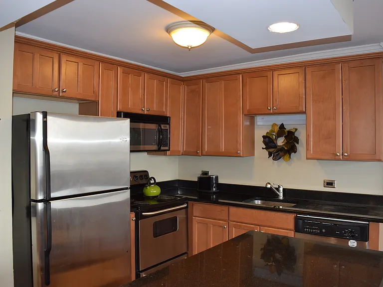 1360 N Sandburg Ter #410 — Photo 9
