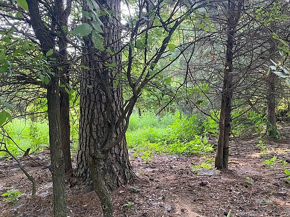 5th image of TRACT Four E 1250 Rd