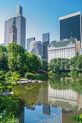 Rented by Compass | media 9