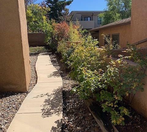 Side yard with rose bushes