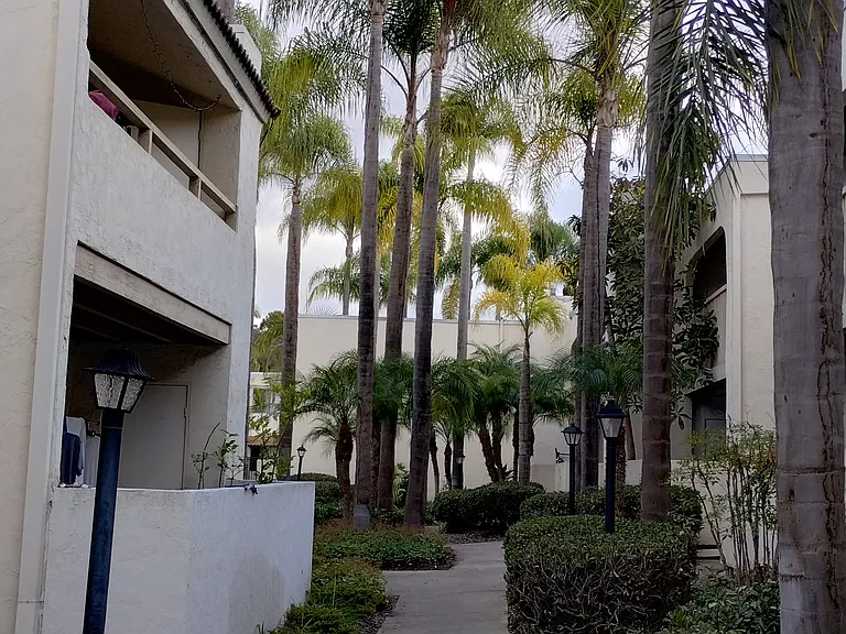 Black Mountain Villas — Photo 32