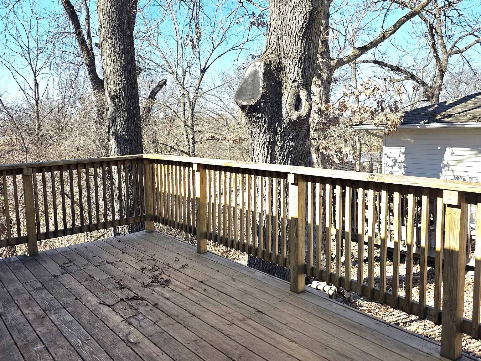 2 bed, 1185 sqft, $1,100 — Photo 2