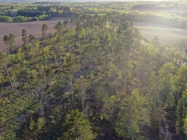 TBD State Highway 65 - Lot 1, Star Prairie, WI 54026