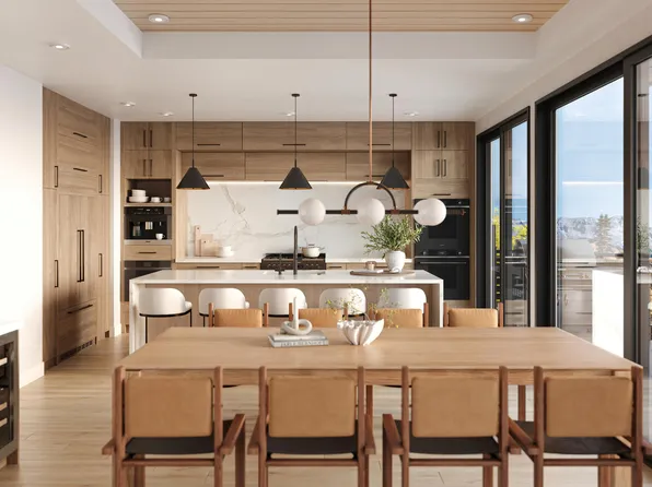 115 Cortina Dr #B, Telluride, CO 81435