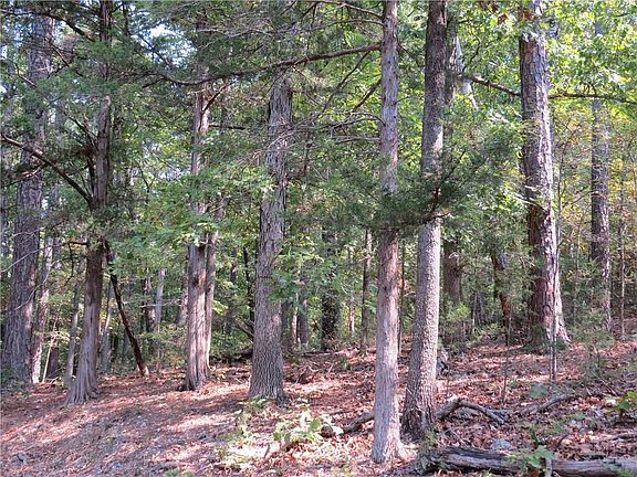 4th image of 6199 County Road 302