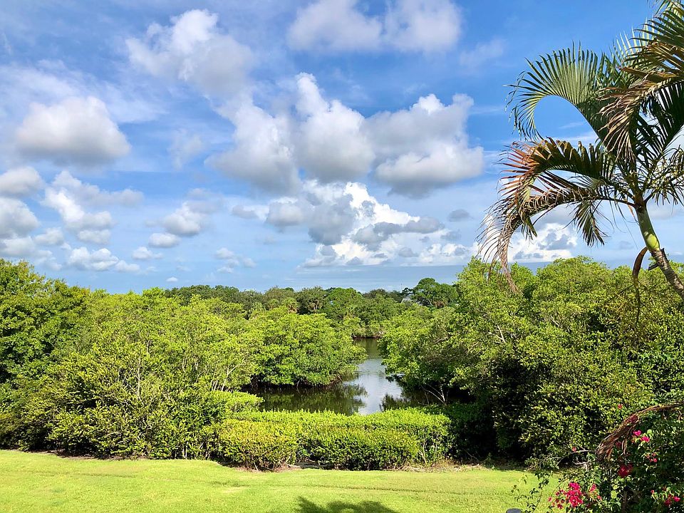 View of Loxahatchee River from home