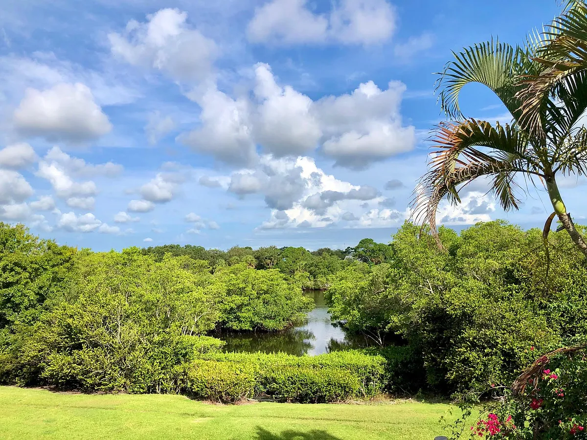 View of Loxahatchee River from home - 6231 Riverwalk Ln #2