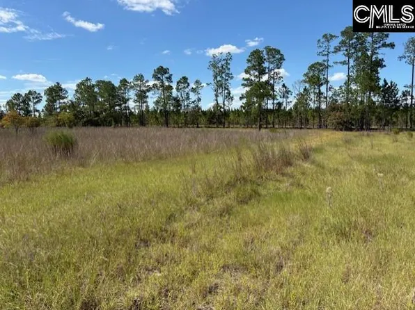 1424 Boatwright Rd, Chesterfield, SC 29709