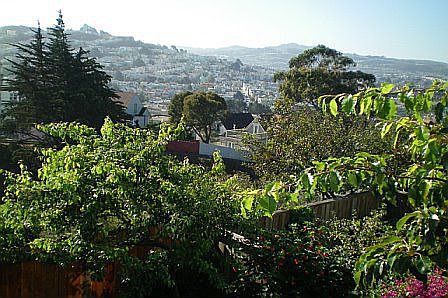Glen Park Urban Oasis