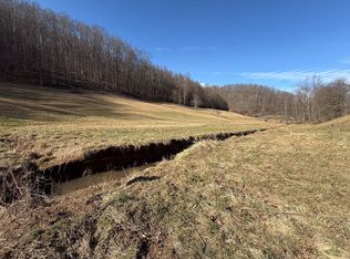 76 Walker Creek Rd, Duck, WV 25063