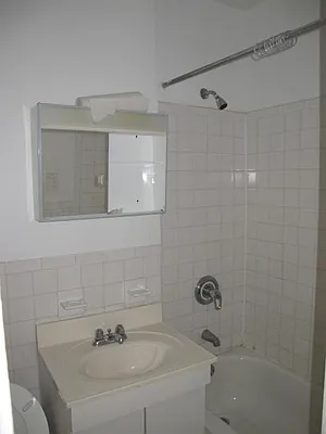 Rented by Manhattan Flats | media 19