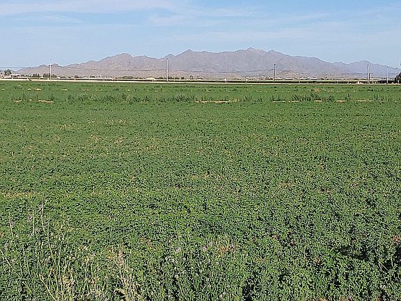 2nd image of 221st Avenue And Hwy #85
