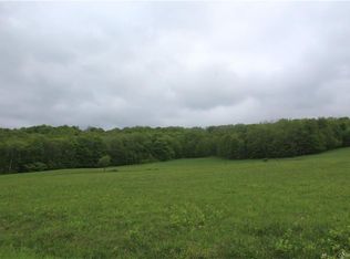 Little Fuller Brook Rd, Roscoe, NY 12776