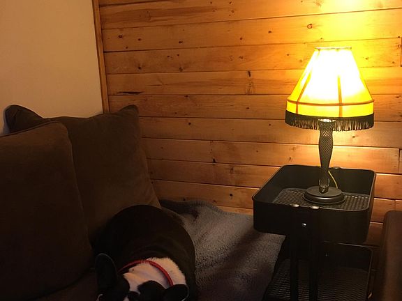 Dog not Included (Sorry, no pets)