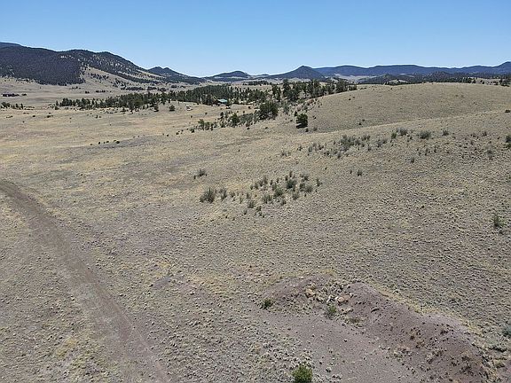 5th image of 631 Dwyer Trl