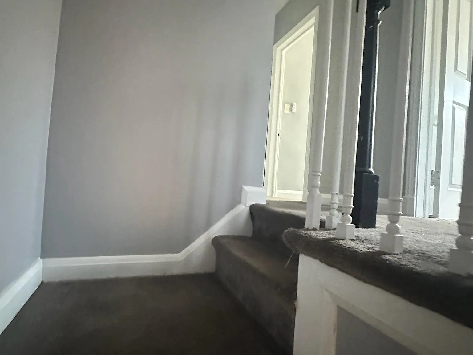 3 bed, 1.5 bath, 1384 sqft, $2,200 — Photo 4