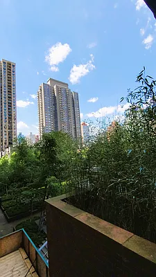 Rented by Corcoran | media 109