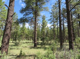 100 Sponseller Siding Rd, Lakeside, AZ 85929