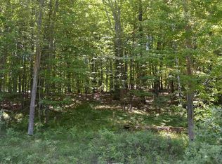 1005 Pueblo Pass, Lake Isabella, MI 48893