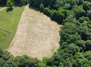 Mitchell Rd, Blaine, TN 37709