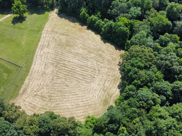 Mitchell Rd, Blaine, TN 37709