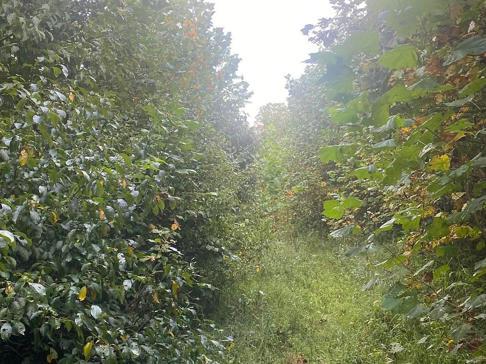 2nd image of 29361 Locust Grove Rd