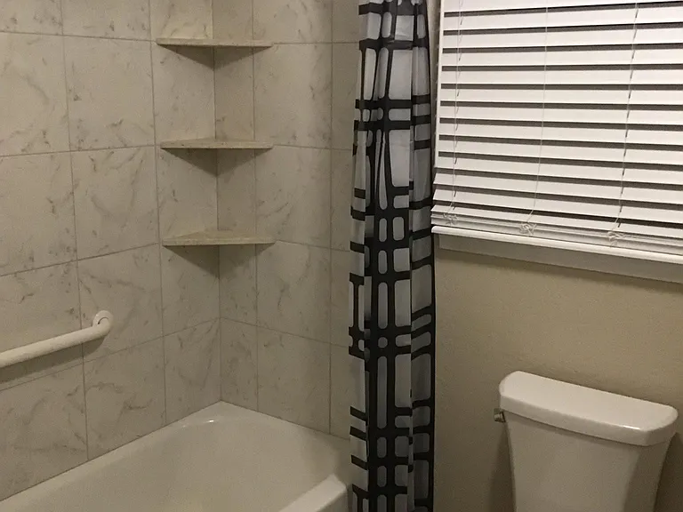 Tub shower bath 2