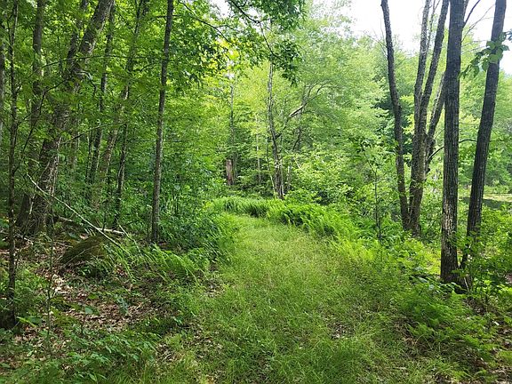 3rd image of 305 Tripp Hollow Rd