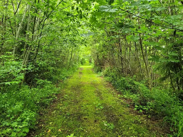738 Grauel- Ramapo Rd, Joyce, WA 98363