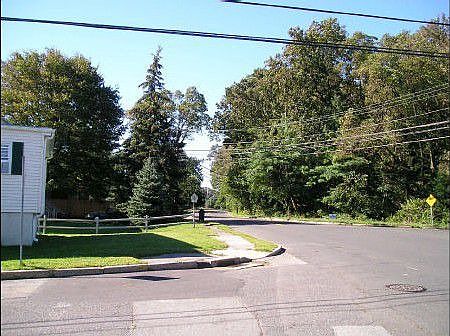Wooded Area Across Street