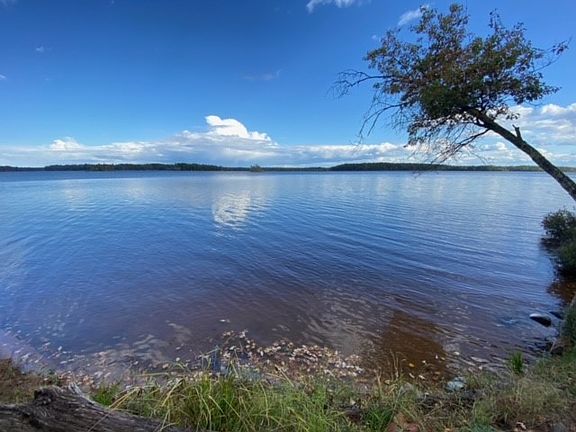 2nd image of Lot 2 & 3 S Flowage Road