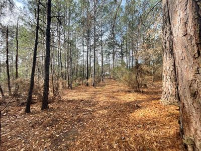 6268 Ridge Road, Appling, GA, 30802