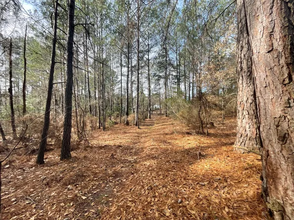 6268 RIDGE Road, Appling, GA 30802